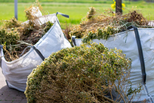 Best Construction Debris Removal  in Chelsea, MA