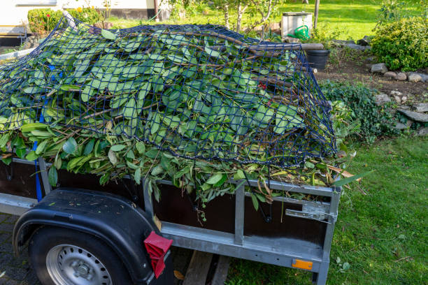  Chelsea, MA Junk Removal Services Pros